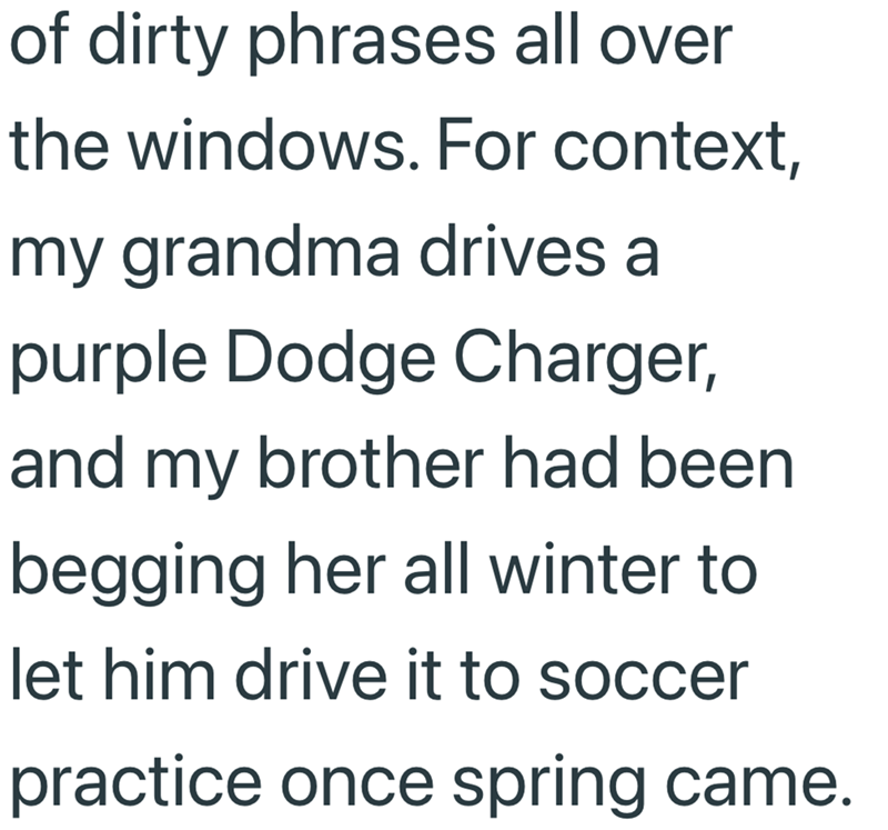 of dirty phrases all over the windows. For context, my grandma drives a purple Dodge Charger, and my brother had been begging her all winter to let him drive it to soccer practice once spring came.