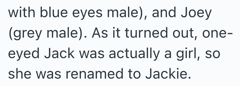 with blue eyes male), and Joey (grey male). As it turned out, one- eyed Jack was actually a girl, so she was renamed to Jackie.