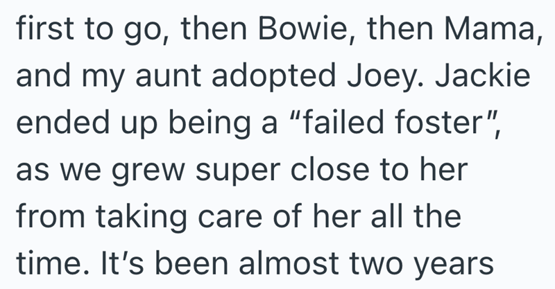 first to go, then Bowie, then Mama, and my aunt adopted Joey. Jackie ended up being a "failed foster", as we grew super close to her from taking care of her all the time. It's been almost two years