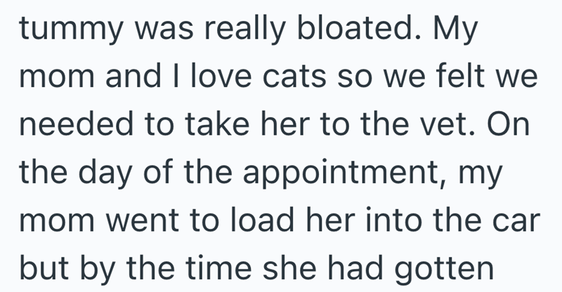 tummy was really bloated. My mom and I love cats so we felt we needed to take her to the vet. On the day of the appointment, my mom went to load her into the car but by the time she had gotten
