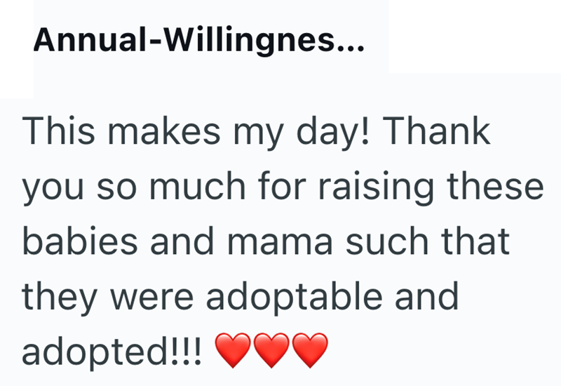 Annual-Willingnes... This makes my day! Thank you so much for raising these babies and mama such that they were adoptable and adopted!!!