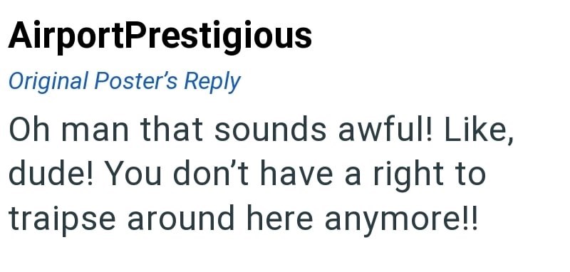 AirportPrestigious Original Poster's Reply Oh man that sounds awful! Like, dude! You don't have a right to traipse around here anymore!!
