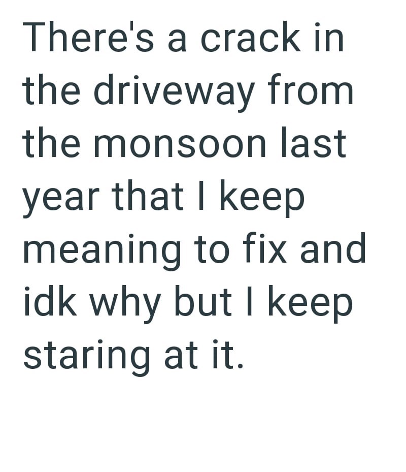 There's a crack in the driveway from the monsoon last year that I keep meaning to fix and idk why but I keep staring at it.