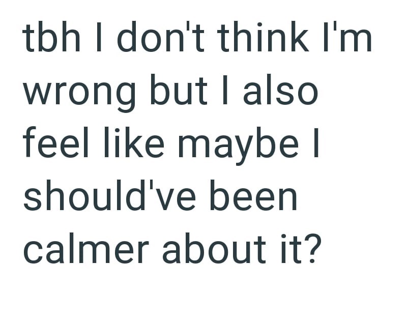 tbh I don't think I'm wrong but I also feel like maybe I should've been calmer about it?