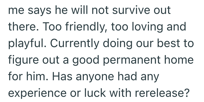 me says he will not survive out there. Too friendly, too loving and playful. Currently doing our best to figure out a good permanent home for him. Has anyone had any experience or luck with rerelease?