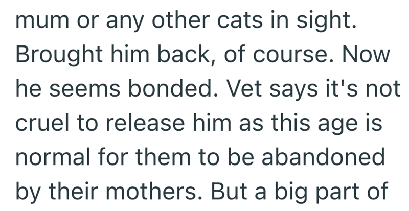 mum or any other cats in sight. Brought him back, of course. Now he seems bonded. Vet says it's not cruel to release him as this age is normal for them to be abandoned by their mothers. But a big part of
