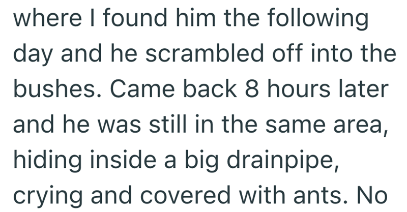 where I found him the following day and he scrambled off into the bushes. Came back 8 hours later and he was still in the same area, hiding inside a big drainpipe, crying and covered with ants. No