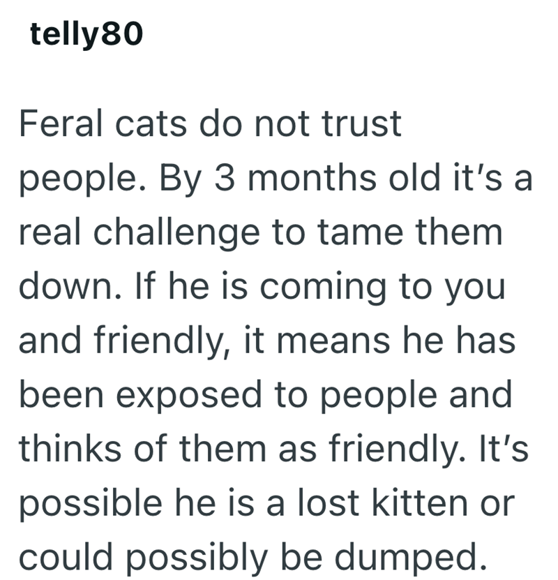 telly80 Feral cats do not trust people. By 3 months old it's a real challenge to tame them down. If he is coming to you and friendly, it means he has. been exposed to people and thinks of them as friendly. It's possible he is a lost kitten or could possibly be dumped.