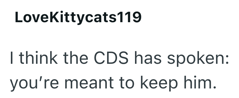 LoveKittycats119 I think the CDS has spoken: you're meant to keep him.