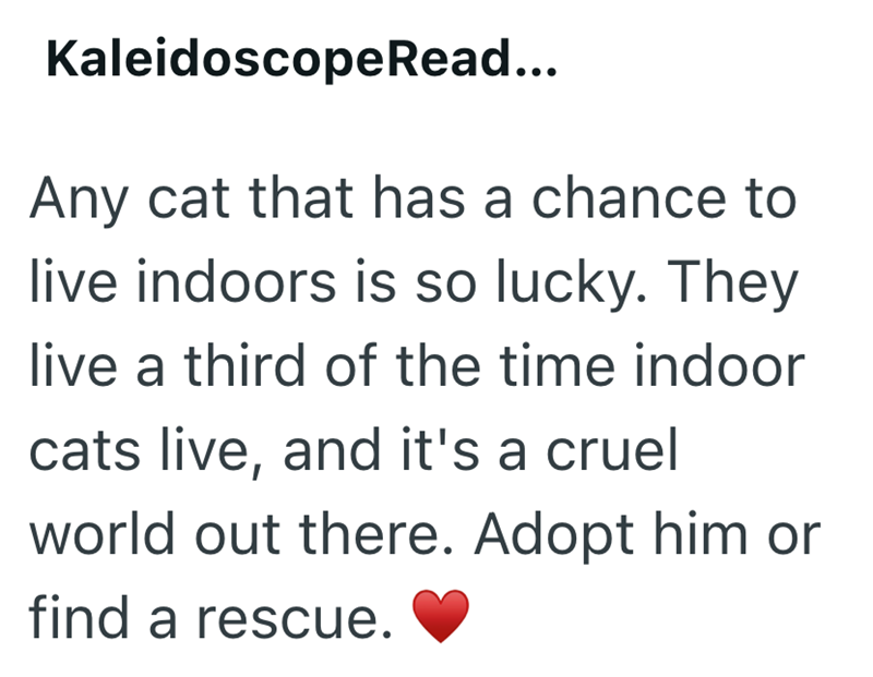 Kaleidoscope Read... Any cat that has a chance to live indoors is so lucky. They live a third of the time indoor cats live, and it's a cruel world out there. Adopt him or find a rescue.