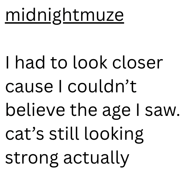 midnightmuze I had to look closer cause I couldn't believe the age I saw. cat's still looking strong actually