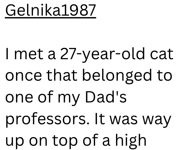 Gelnika1987 I met a 27-year-old cat once that belonged to one of my Dad's professors. It was way up on top of a high