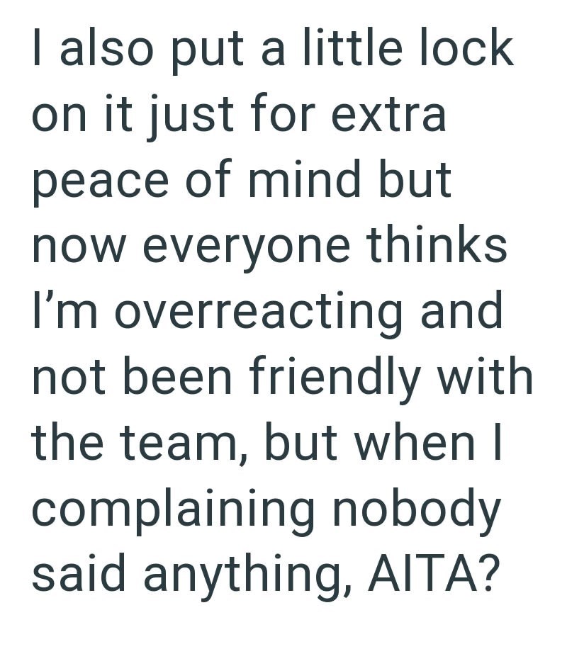 I also put a little lock on it just for extra peace of mind but now everyone thinks I'm overreacting and not been friendly with the team, but when I complaining nobody said anything, AITA?