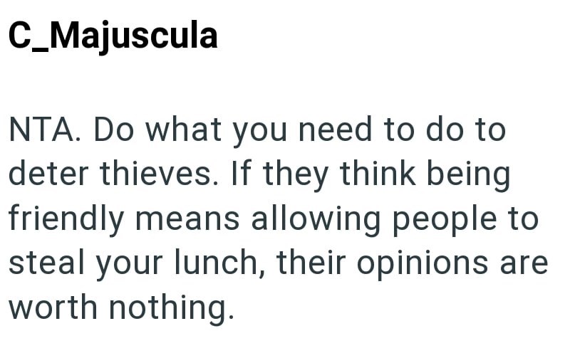 C_Majuscula NTA. Do what you need to do to deter thieves. If they think being friendly means allowing people to steal your lunch, their opinions are worth nothing.