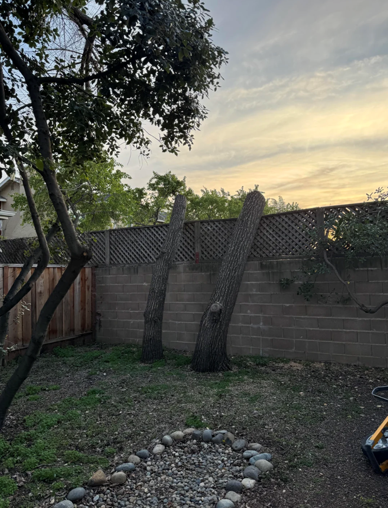 Cheezburger Image 10614845440