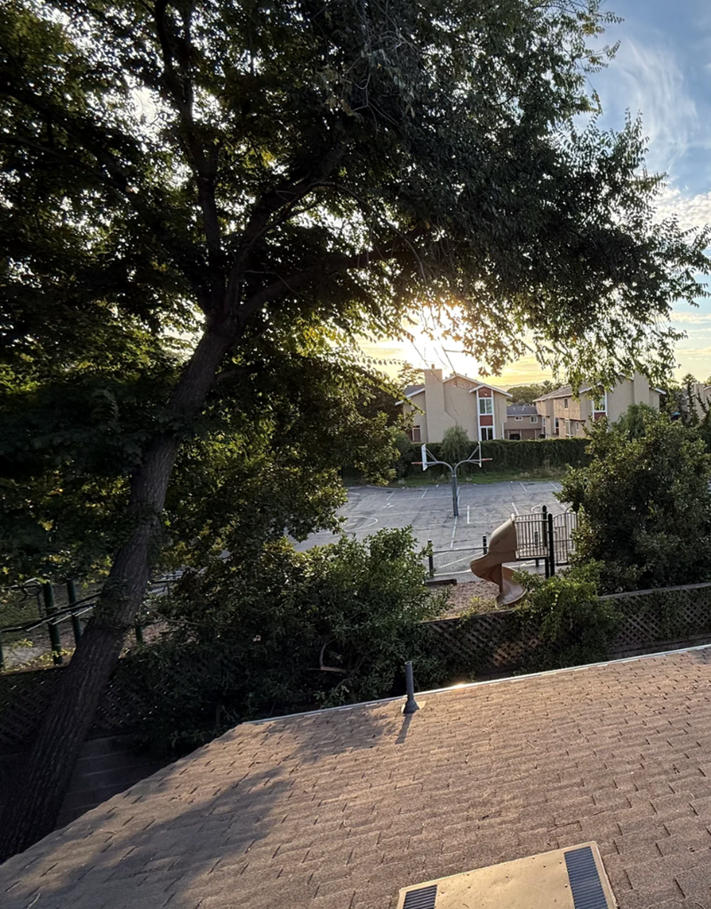 Cheezburger Image 10614845696