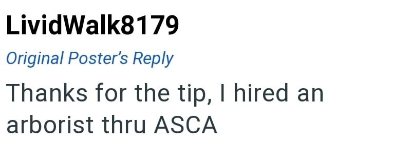 Livid Walk8179 Original Poster's Reply Thanks for the tip, I hired an arborist thru ASCA