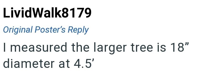 Livid Walk8179 Original Poster's Reply I measured the larger tree is 18" diameter at 4.5'