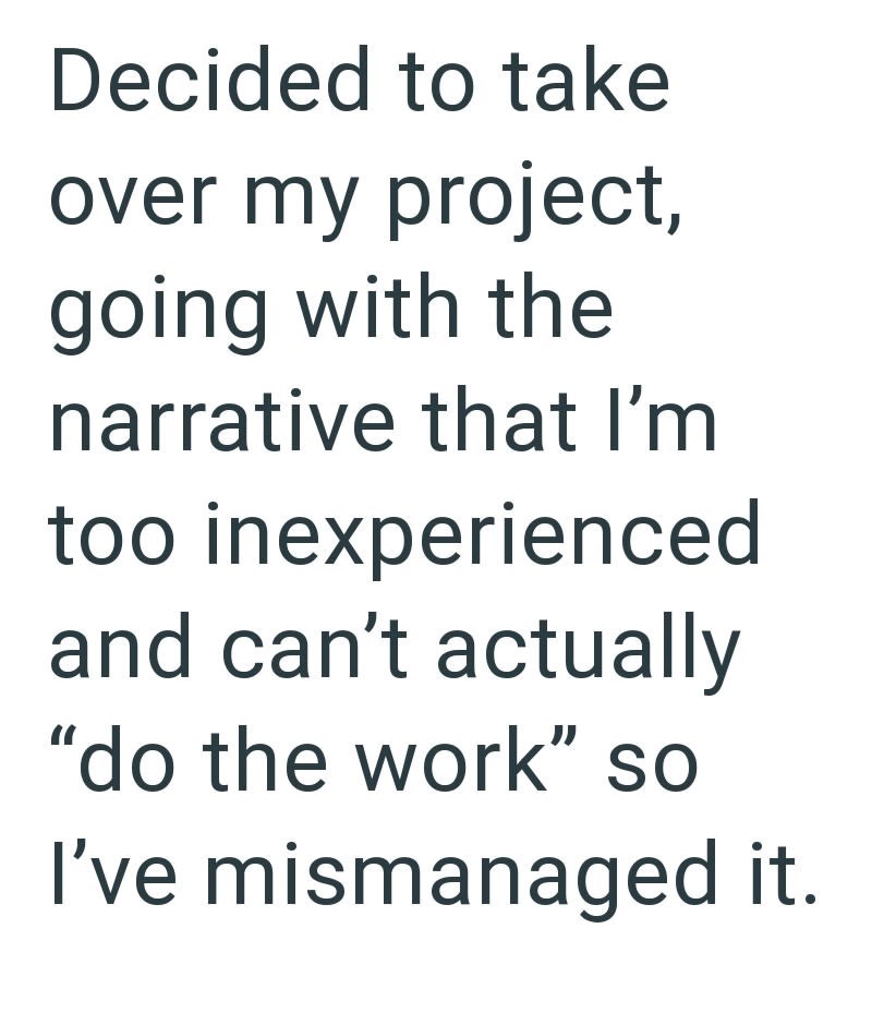 Decided to take over my project, going with the narrative that I'm too inexperienced and can't actually "do the work" so I've mismanaged it.