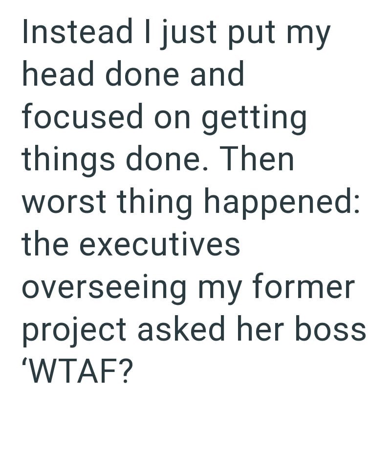 Instead I just put my head done and focused on getting things done. Then worst thing happened: the executives overseeing my former project asked her boss 'WTAF?