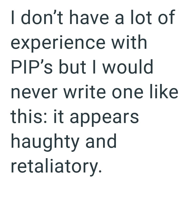 I don't have a lot of experience with PIP's but I would never write one like this: it appears haughty and retaliatory.