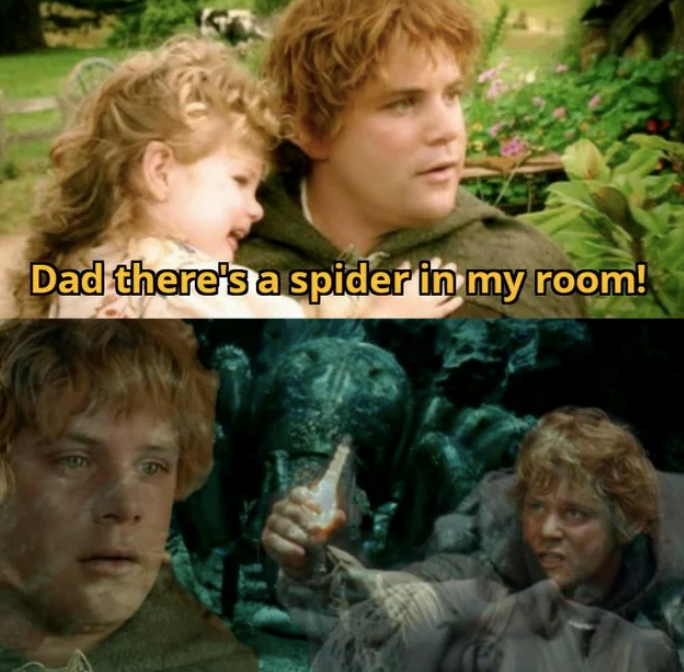Dad there's a spider in my room!