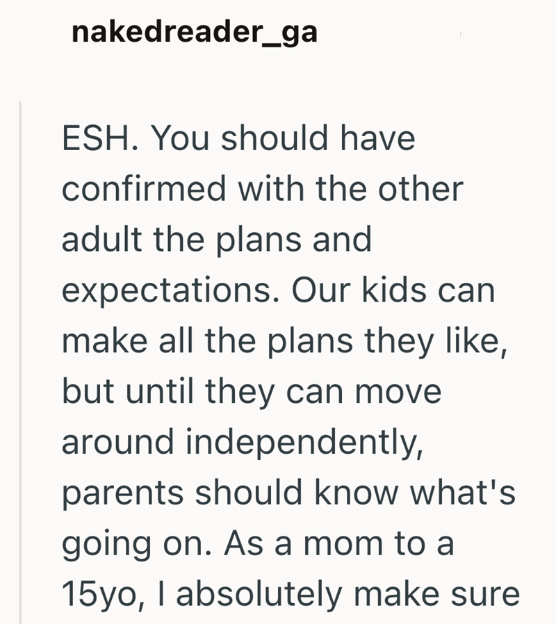 nakedreader_ga ESH. You should have confirmed with the other adult the plans and expectations. Our kids can make all the plans they like, but until they can move around independently, parents should know what's going on. As a mom to a 15yo, I absolutely make sure