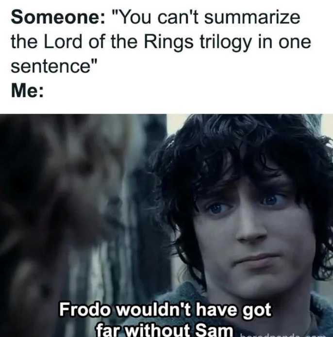 Someone: "You can't summarize the Lord of the Rings trilogy in one sentence" Me: Frodo wouldn't have got far without Sam