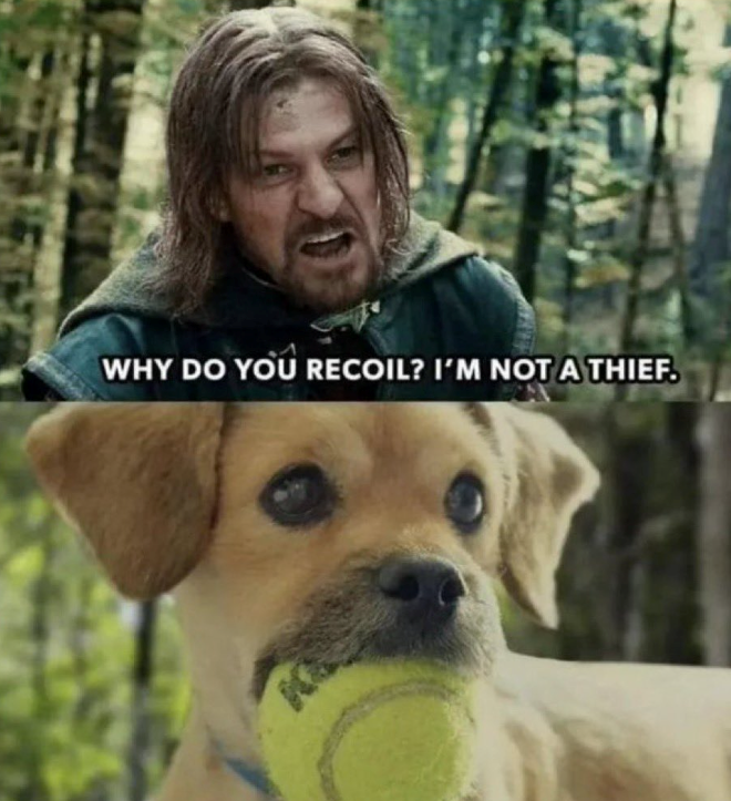 WHY DO YOU RECOIL? I'M NOT A THIEF.