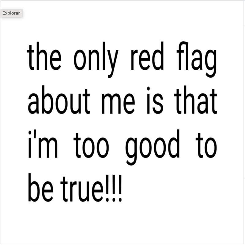 Explorar the only red flag about me is that i'm too good to be true!!!