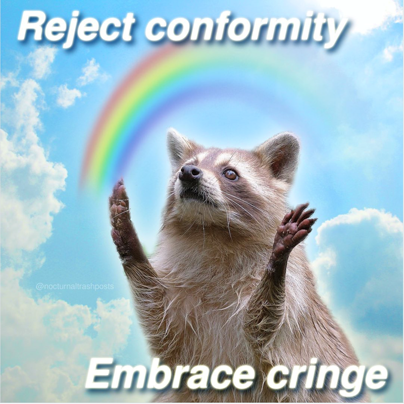 Reject conformity @nocturnaltrashposts Embrace cringe