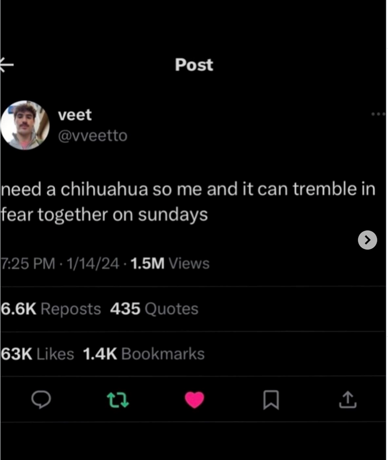 ↓ veet @vveetto Post need a chihuahua so me and it can tremble in fear together on sundays 7:25 PM 1/14/24 1.5M Views 6.6K Reposts 435 Quotes 63K Likes 1.4K Bookmarks 27 Σ ↑