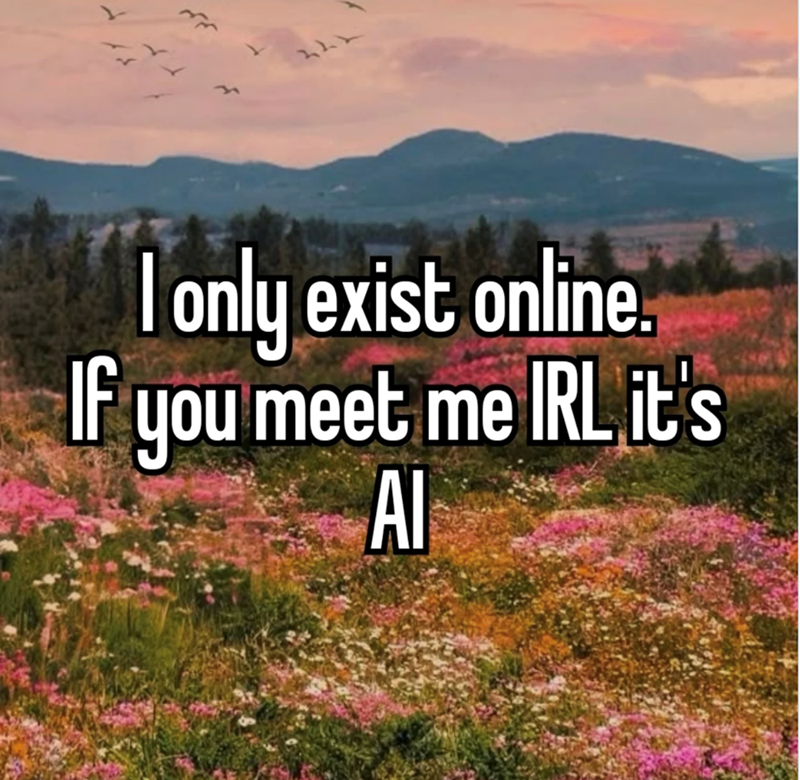 244 I only exist online. If you meet me IRL it's AI