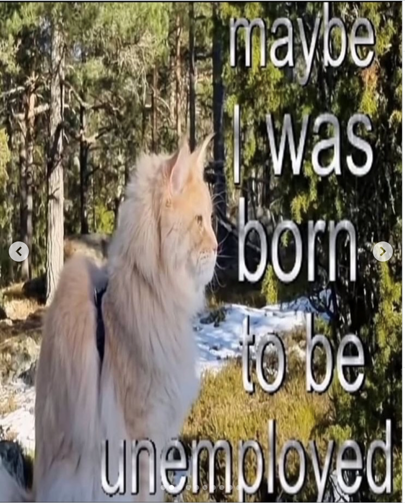 maybe Was born to be unemployed