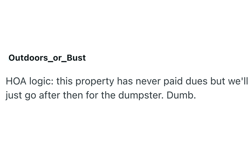 Outdoors_or_Bust HOA logic: this property has never paid dues but we'll just go after then for the dumpster. Dumb.