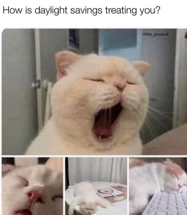 How is daylight savings treating you? @the_pizzacat