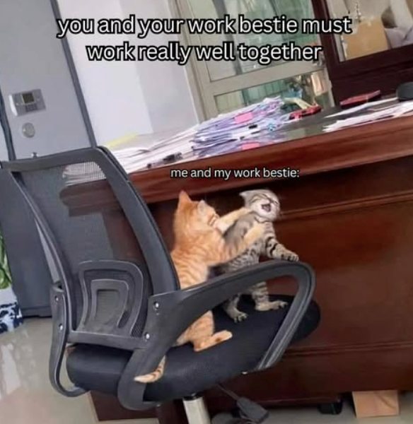 you and your work bestie must work really well together me and my work bestie: