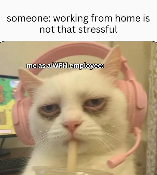 someone: working from home is not that stressful me as a WFH employee: