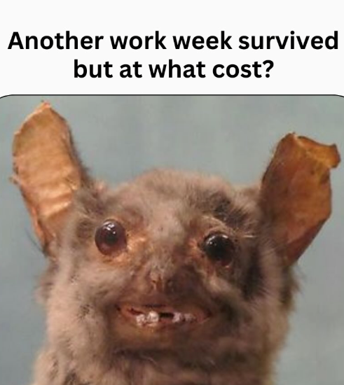 Another work week survived but at what cost?