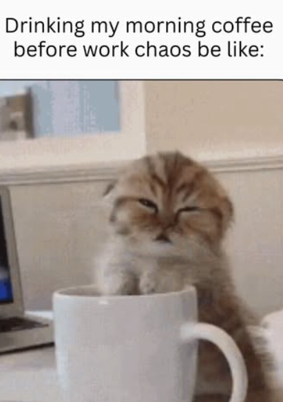 Drinking my morning coffee before work chaos be like: