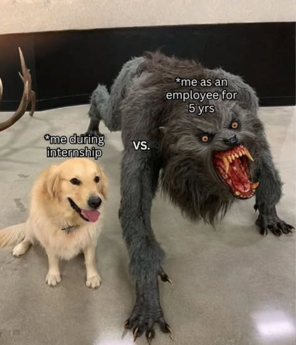 *me during internship VS. *me as an employee for 5 yrs