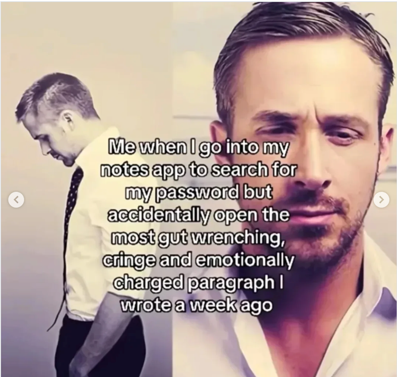 Me when I go into my notes app to search for my password but accidentally open the most gut wrenching, cringe and emotionally charged paragraph I wrote a week ago