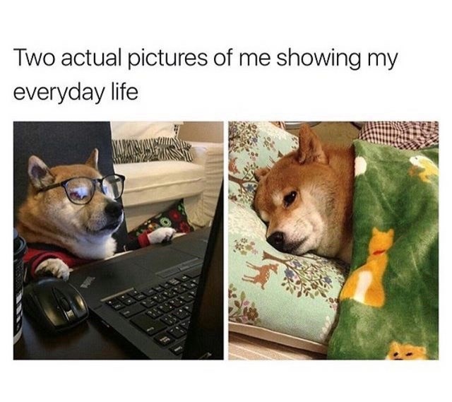 Two actual pictures of me showing my everyday life