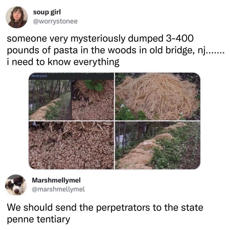 soup girl @worrystonee someone very mysteriously dumped 3-400 pounds of pasta in the woods in old bridge, nj....... i need to know everything #everyone Marshmellymel @marshmellymel We should send the perpetrators to the state penne tentiary