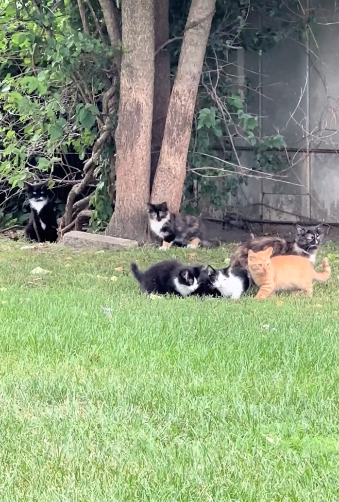 Cheezburger Image 10614925568