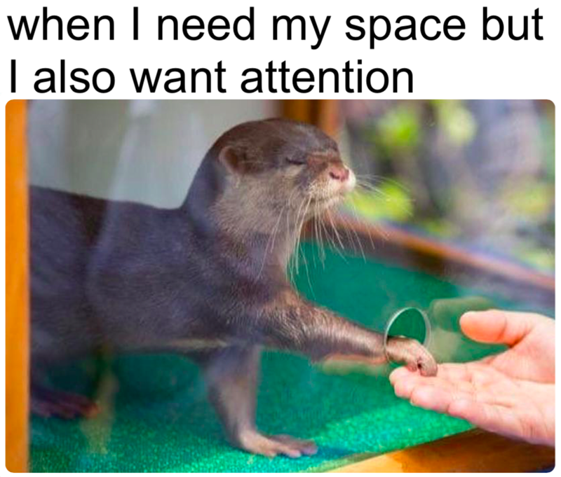 when I need my space but I also want attention