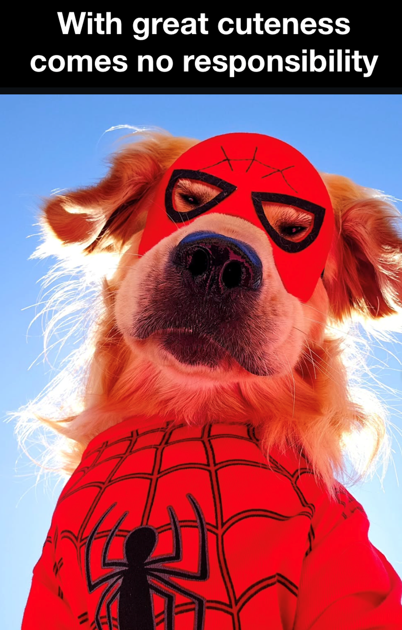 With great cuteness comes no responsibility