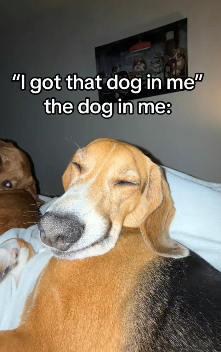 "I got that dog in me" the dog in me: