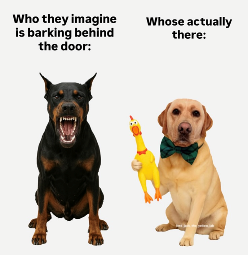 Who they imagine is barking behind the door: Whose actually there: lord jack the yellow_lab