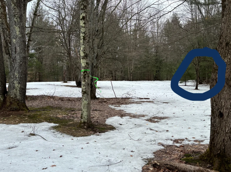 Cheezburger Image 10614941184